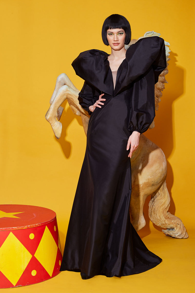 Puffed Sleeves Dress